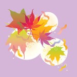 maple-key-paco maple-key-paco
